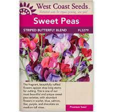 Seeds - Butterfly Blend Sweet Peas