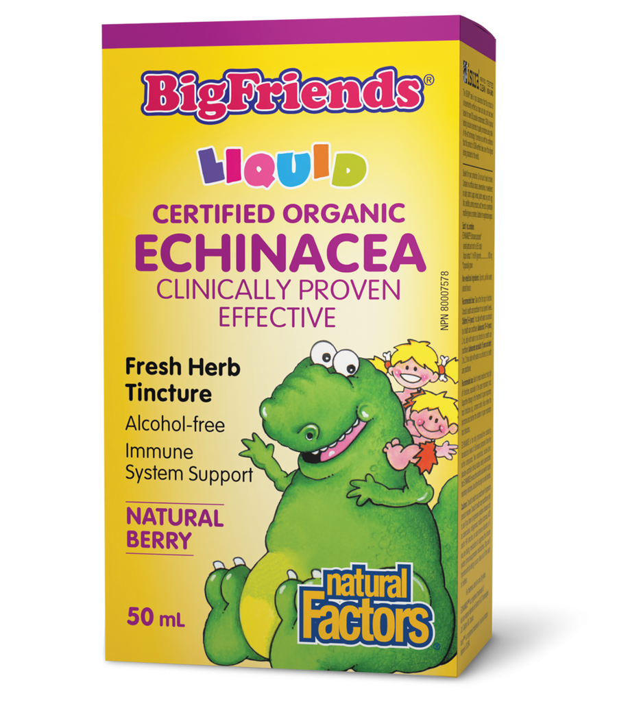 Big Friends Echinacea No Alcohol Tincture