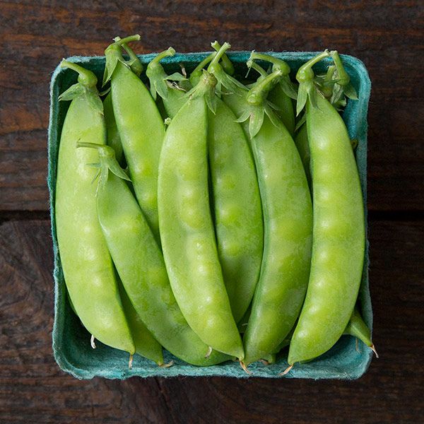 Blizzard Snow Pea - 1 ounce