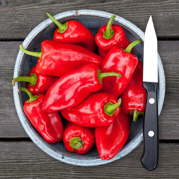 HMS Red Picnic Pepper - 10 seeds