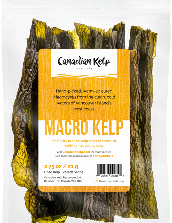 Macro Kelp