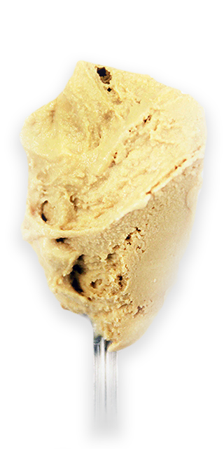 Salted Caramel Ice Cream