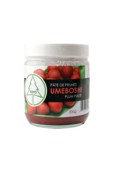 Umeboshi Japanese Plum Paste