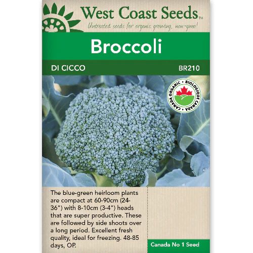 Seeds - Broccoli Di Cicco Certified Organic