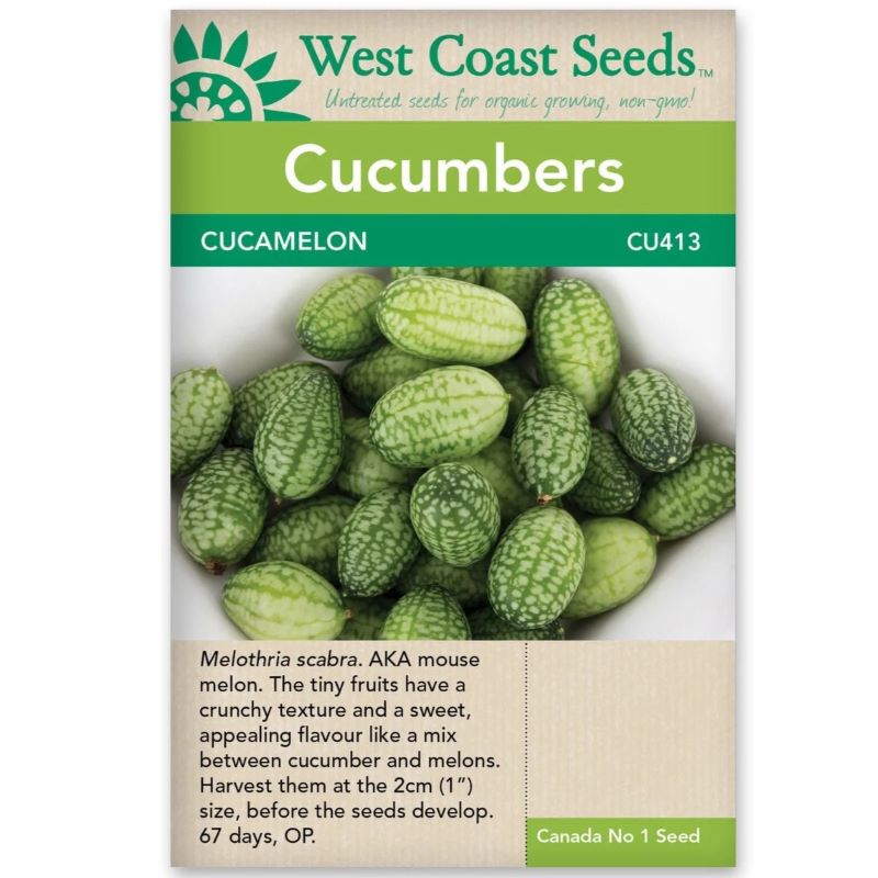 Seeds - Cucumbers, Cucamelon