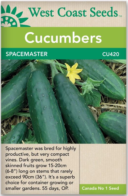 Seeds - Cucumbers, Spacemaster