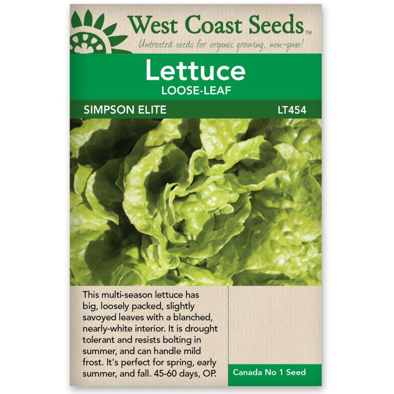 Seeds - Lettuce Loose Leaf, Simpson Elite