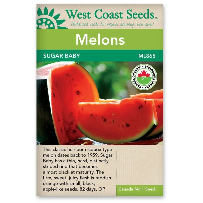 Seeds - Watermelon, Sugar Baby Certified Organic