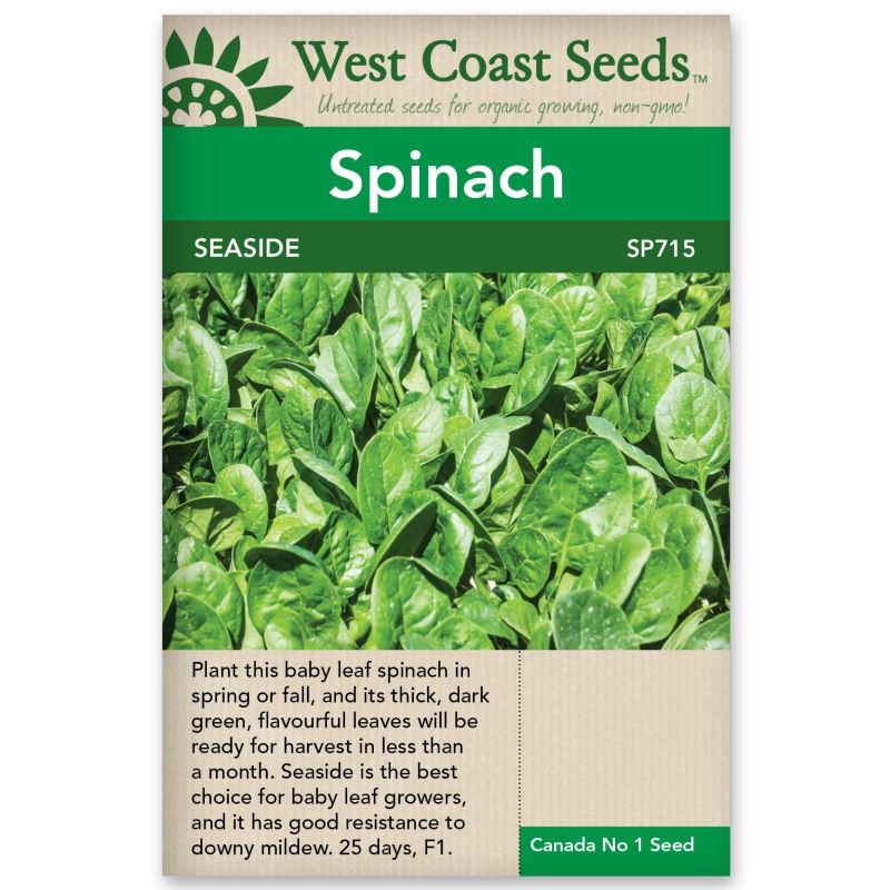 Seeds - Spinach, Seaside