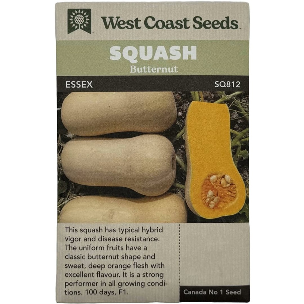 Seeds - Butternut Squash, Essex