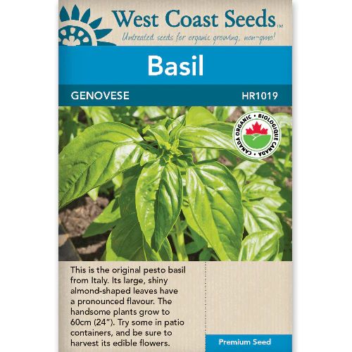 Seeds - Basil, Genovese