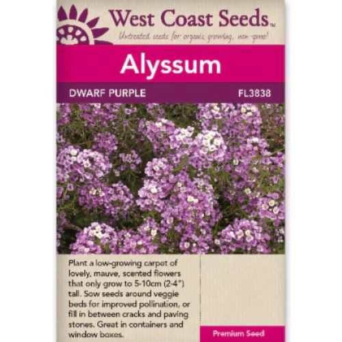 Seeds - Alyssum, Dwarf Pink