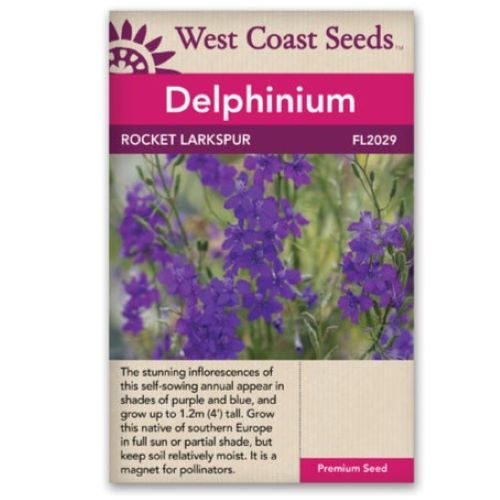 Seeds - Delphinium, Rocket Larkspur