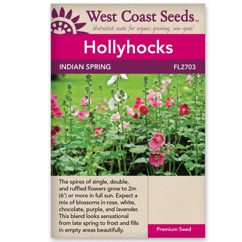 Seeds - Hollyhocks, Indian Spring