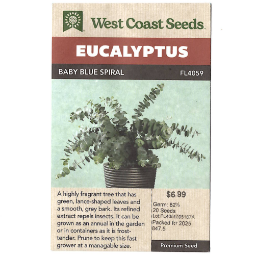 Seeds - Eucalyptus, Baby Blue Spiral