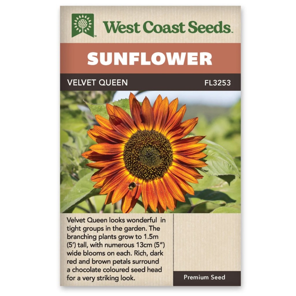 Seeds - Sunflower, Velvet Queen