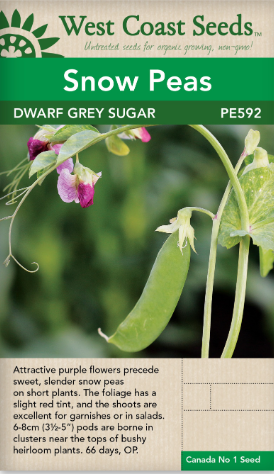 Seeds - Snow Peas, Dwarf Grey Sugar