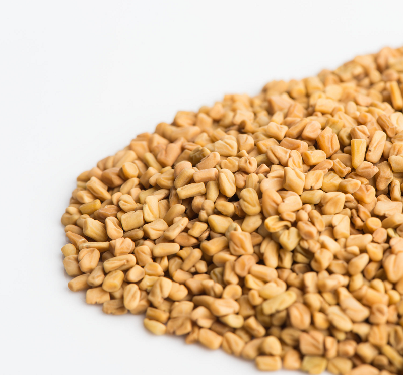 Fenugreek