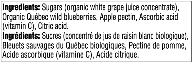 Just Fruit Spread - Wild Blueberry - 235 ml