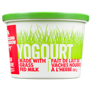 Yogurt - 3.25% Plain