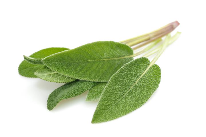Fresh Herbs - Sage Fresh Herbs