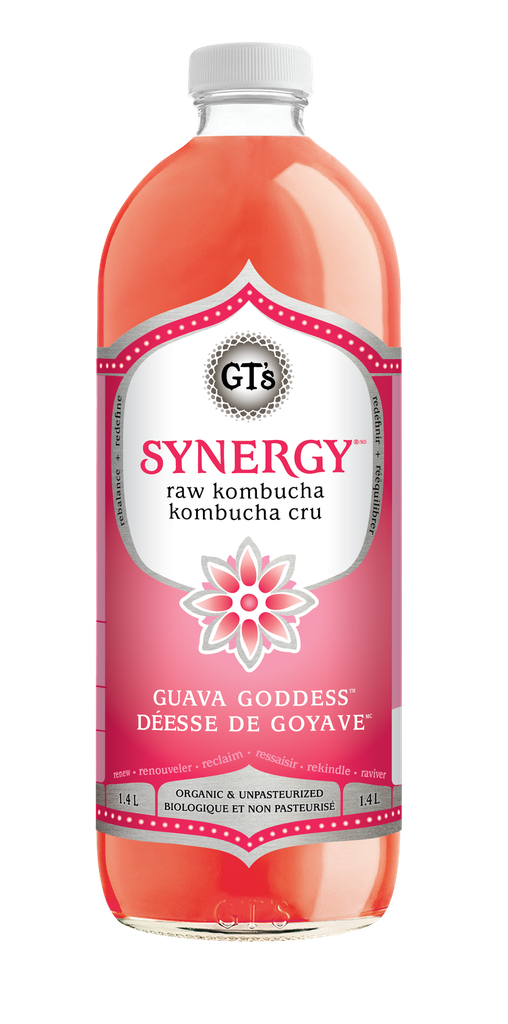 Synergy Kombucha - Guava Goddess