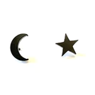Moon and Star Earrings Black