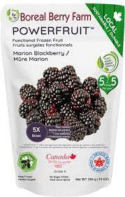Frozen Marion Blackberries Org